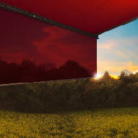 A sunset with vibrant red and orange hues, framed by greenery and a clear sky.