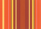 cinnabar/yellow cinnabar/yellow