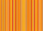 red/gold red/gold