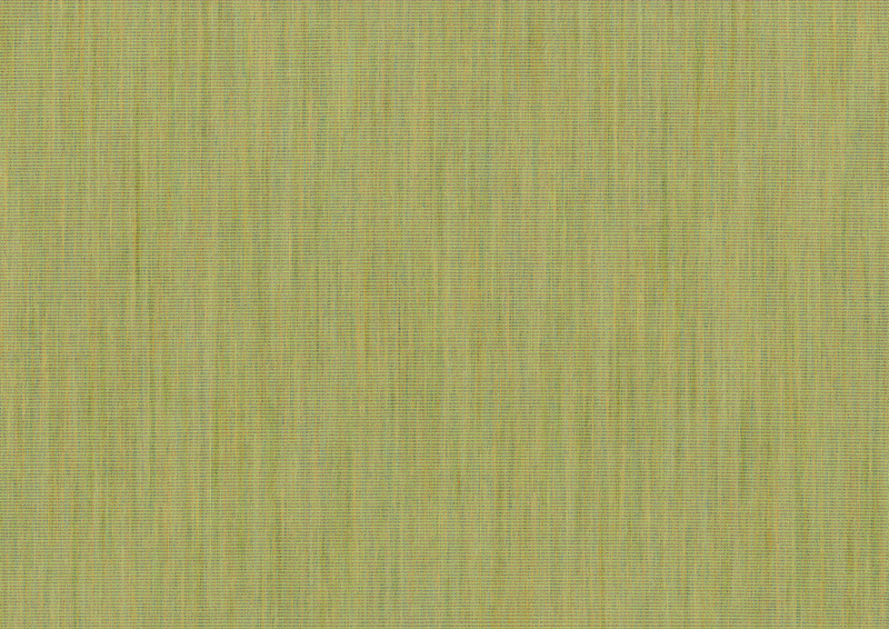 Markisentuch: beachgrass (Dessin-Nr.: A | 3-802), Kollektion: hi hello!, Ansicht: Durchlicht