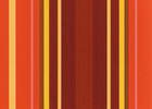 cinnabar/yellow cinnabar/yellow