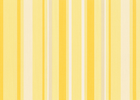 buttercream/white buttercream/white