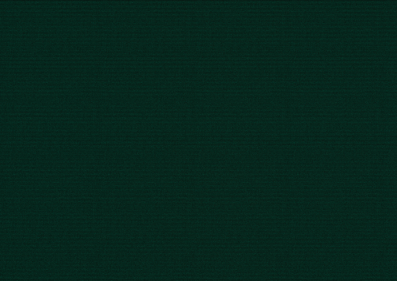 Zonweringdoek: forest (Dessinnr.: A | 3-853), Collectie: hi hello!, Aanzicht: Doorschijnend licht