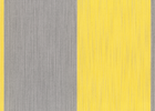 buttercream/silver buttercream/silver