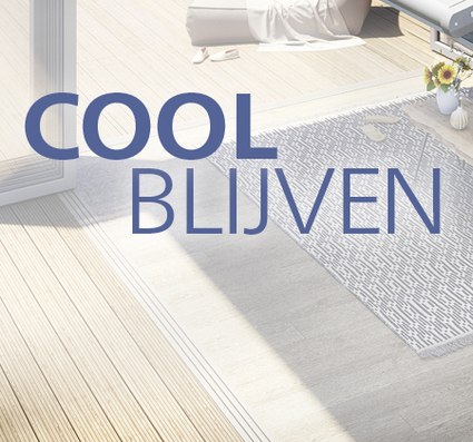 Een lichte, houten vloer met een patroon en een vloerkleed in een neutrale kleur. Tekst in grote letters.